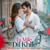 Tu Mile Dil Khile - Single
