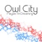 Super Honeymoon - Owl City lyrics