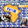 True Born African Dub