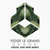 Skank (feat. Costel Van Dein) [Costel Van Dein Remix] - Single