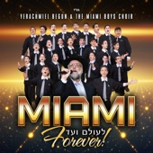 Miami Forever! artwork