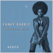 Funky Barrio (Malecon Mix) artwork