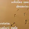 Reteta Valorii Mele song lyrics
