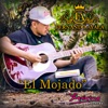 Fernando Ayala - El Mojado