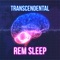 Sleeping at Last - The Great Brain System lyrics