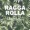 Cody Reks - Ragga Rolla
