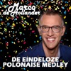 De Eindeloze Polonaise Medley - Single