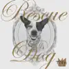 Stream & download Rescue Dog - Single