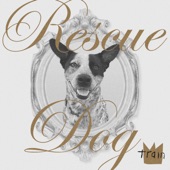 Rescue Dog artwork
