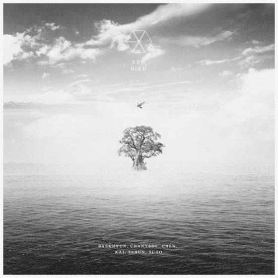 Cover artwork for BIRD