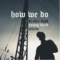 How We Do - Single by DJ Alex Funk, Young Bleed & Cele0n album reviews, ratings, credits