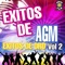 Bailando Con Nery Feat. Grupo Deseo - Exitos De AGM lyrics