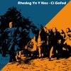Rhedeg Yn Y Nos - Single