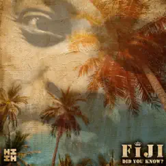 Did You Know? - Single by Fiji album reviews, ratings, credits