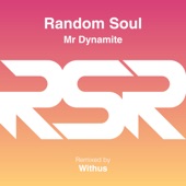 Random Soul - Mr Dynamite