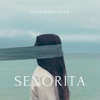 Señorita - Single