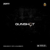 Gunshot artwork