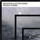 Perfect Storm (Extended Mix) artwork