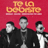 Te la Bebiste artwork