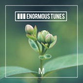 Enormous Tunes artwork