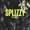 Face Shot (feat. Skinny Lucyano) - Splizzy lyrics