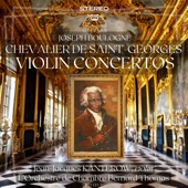 Violin Concerto in G Major, Op. 8, G. 050: II. Largo artwork