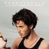 Honeysuckle (Julian Lamadrid Remix) artwork