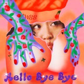 Hello Bye Bye artwork