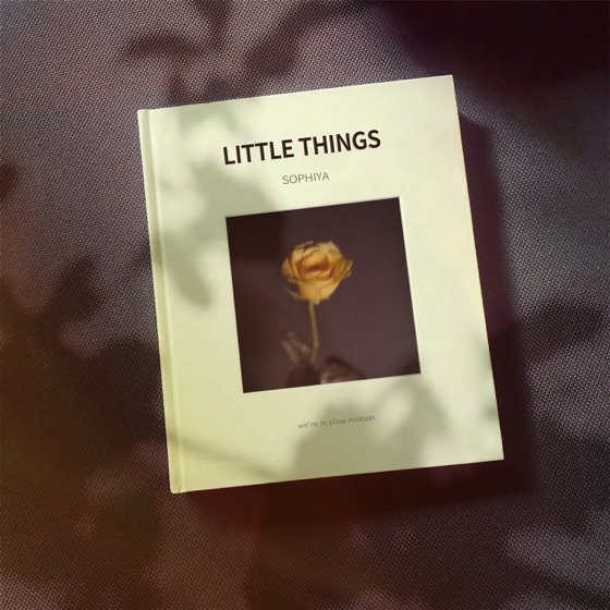 Cover artwork for Little Things