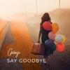 Say Goodbye - Single, 2019