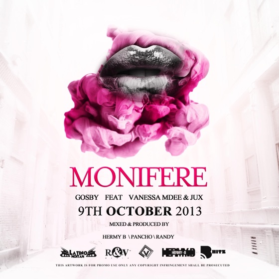 Cover artwork for Monifere (feat. Vanessa Mdee)