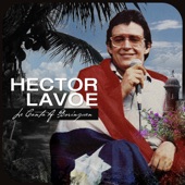 Hector - Mr. Brownie