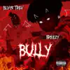Bully (feat. Breezy) - Single album lyrics, reviews, download