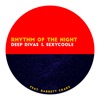 Rhythm of the Night - Single