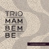 Trio Mambembe - A Samb'Ópera do Malandro