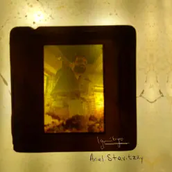 Ignífugo - Single - Ariel Stavitzky