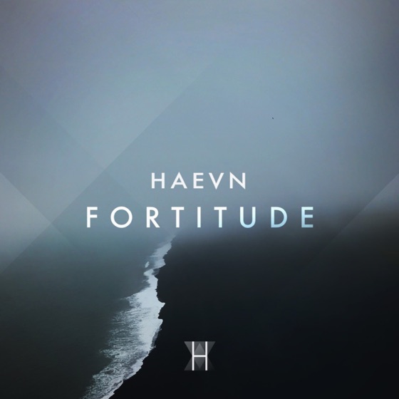 Cover artwork for Fortitude