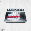 Wanna (feat. E. Mak) - Single album lyrics, reviews, download