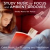 Study Music for Focus and Ambient Grooves: Calm Music for Studying and Meditation