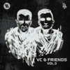Volatile Cycle & Friends Vol 3 - EP