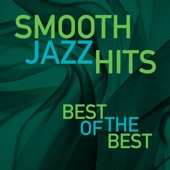Smooth Jazz Hits: Best of the Best artwork