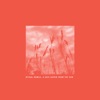 A Safe Haven From the Sun - Single
