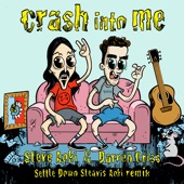 Crash into Me (Settle Down Steavis Aoki Remix) artwork
