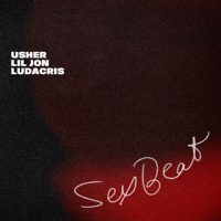 Usher, Lil Jon & Ludacris - SexBeat artwork