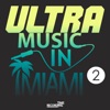Ultra Music In Miami 2