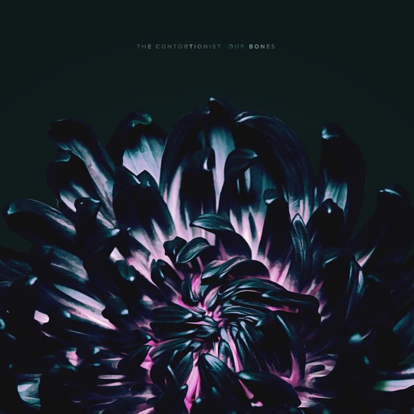 The Contortionist - Our Bones [EP] (2019)