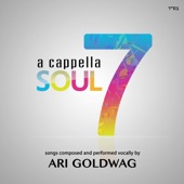 A Cappella Soul 7 artwork