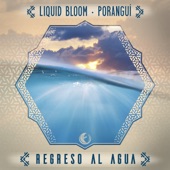 Liquid Bloom - Regreso al Agua (Geometrae Remix Instrumental)