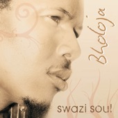 Swazi Soul artwork