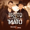 Bruto do Mato - Single